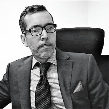 IT & AI Integration Expert